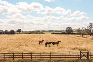 Photo 6- click for photo gallery